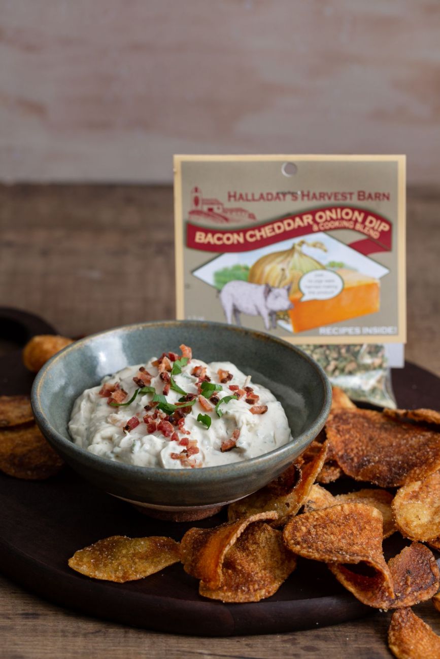 BACON CHEDDAR ONION DIP MIX