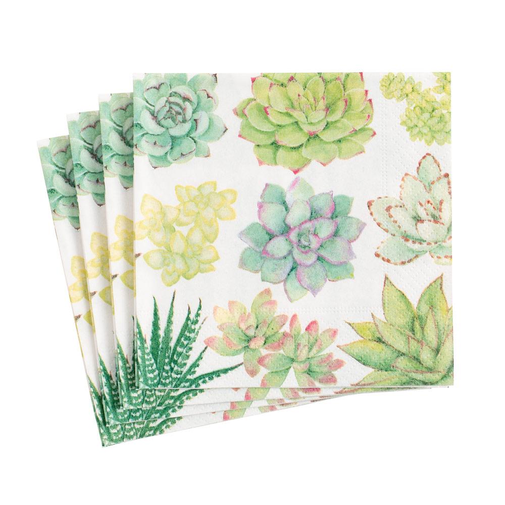 COCKTAIL NAPKIN SUCCULENTS