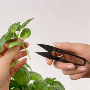MINI SNIPS