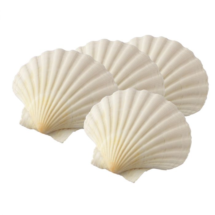 NATURAL SCALLOP BAKING SHELLS 4" SET/4