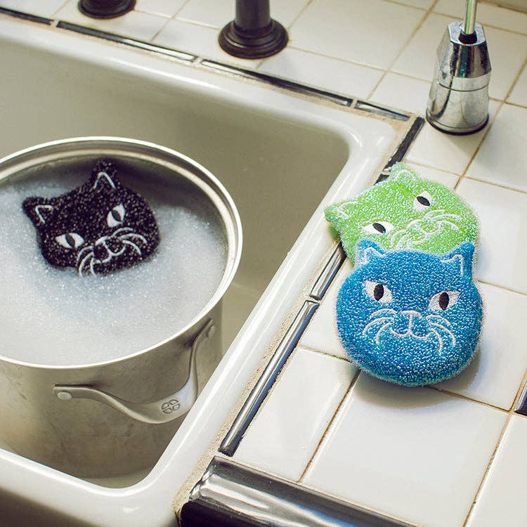 CAT SPONGES SET OF 3