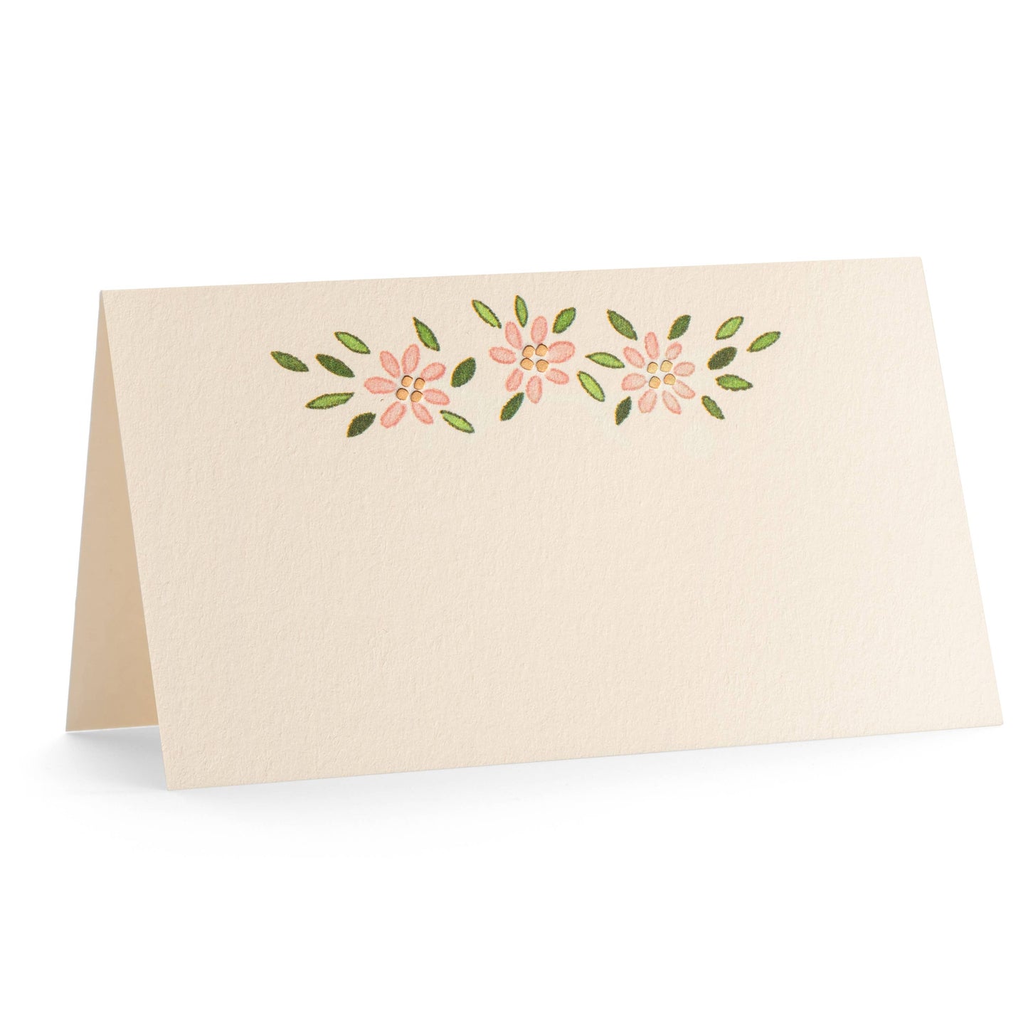 PLACE CARDS LAKE BABY BLUE