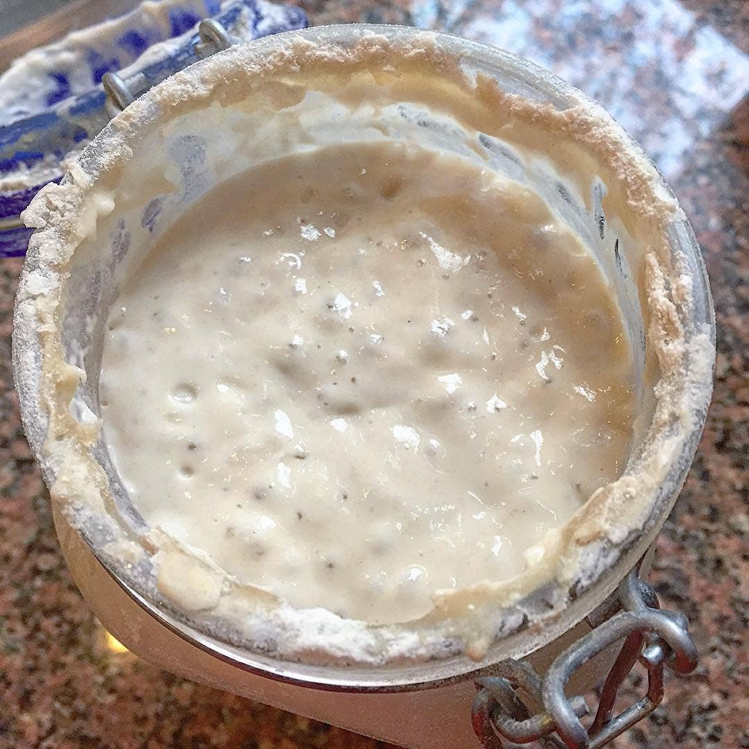 SOURDOUGH STARTER 12g