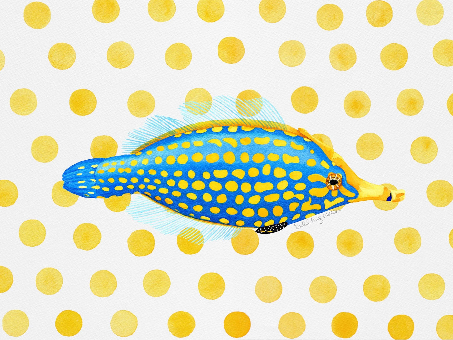 HARLEQUIN FILEFISH TEA TOWEL