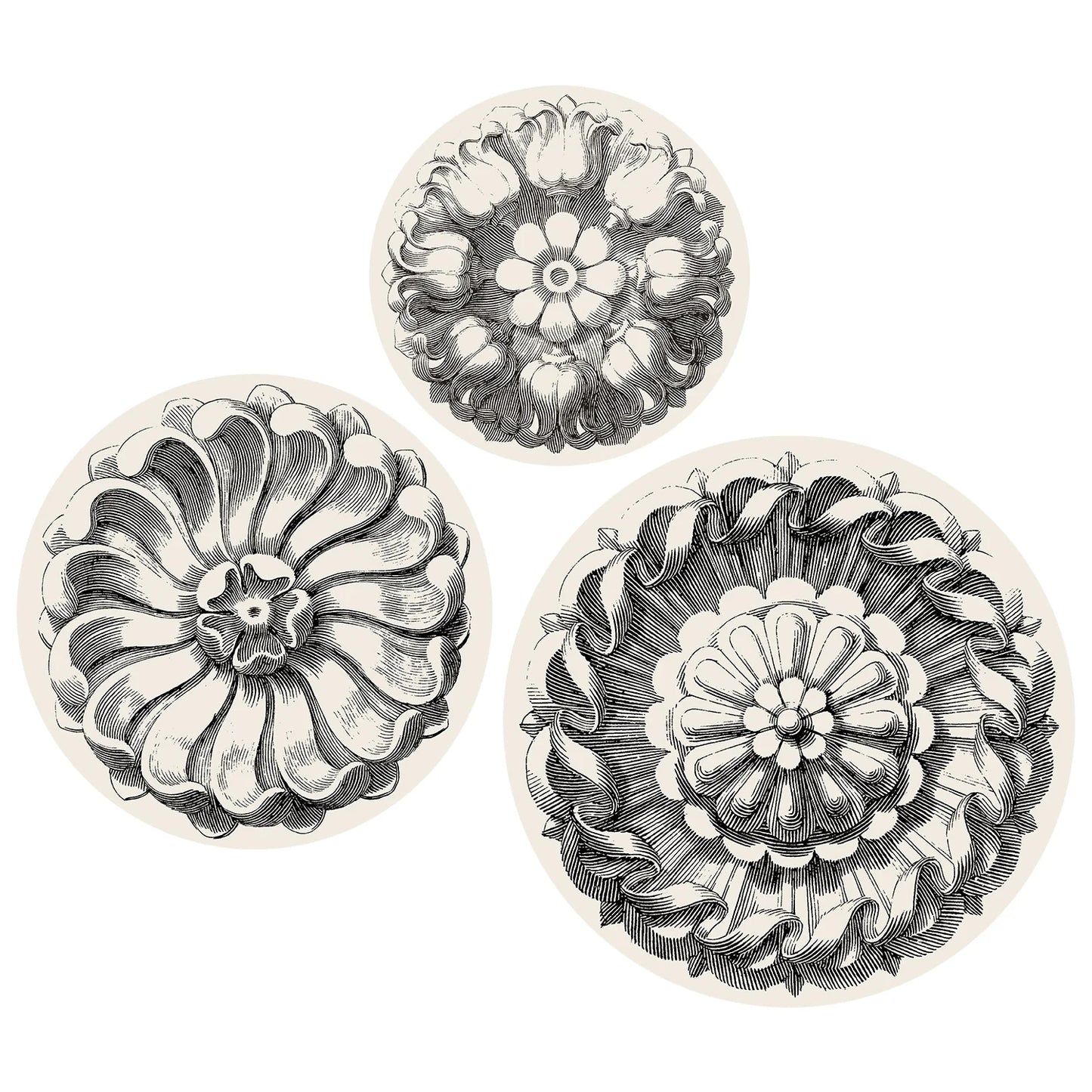 SERVING PAPERS ROSETTE