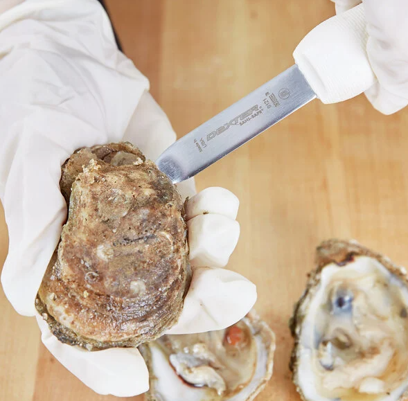 DEXTER NEW HAVEN OYSTER KNIFE 2.75" (S121PCP)