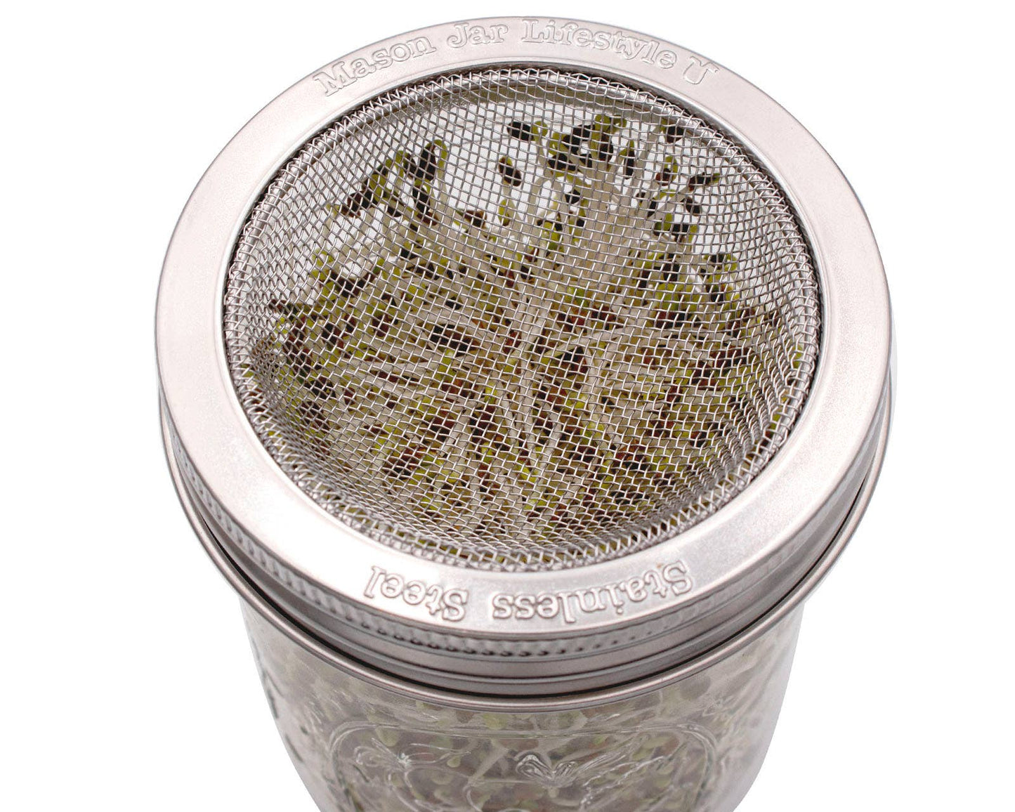 CURVED RUST PROOF SPROUTING LID AND BAND FOR MASON JARS: REGULAR MOUTH WITH JAR