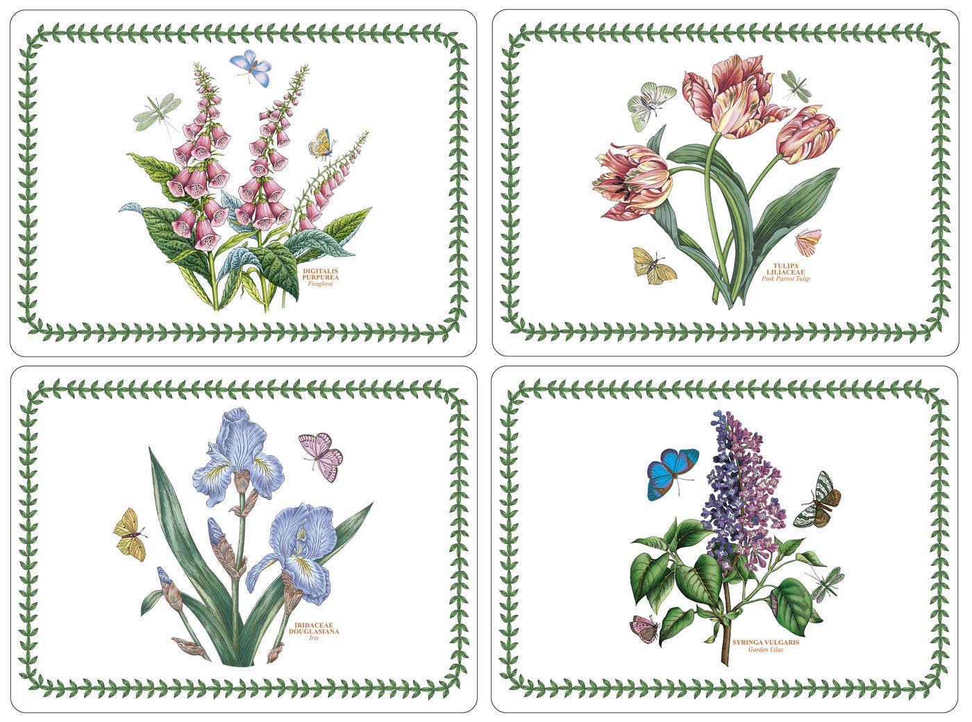 BOTANIC GARDEN CORK BACKED PLACEMATS SET/4