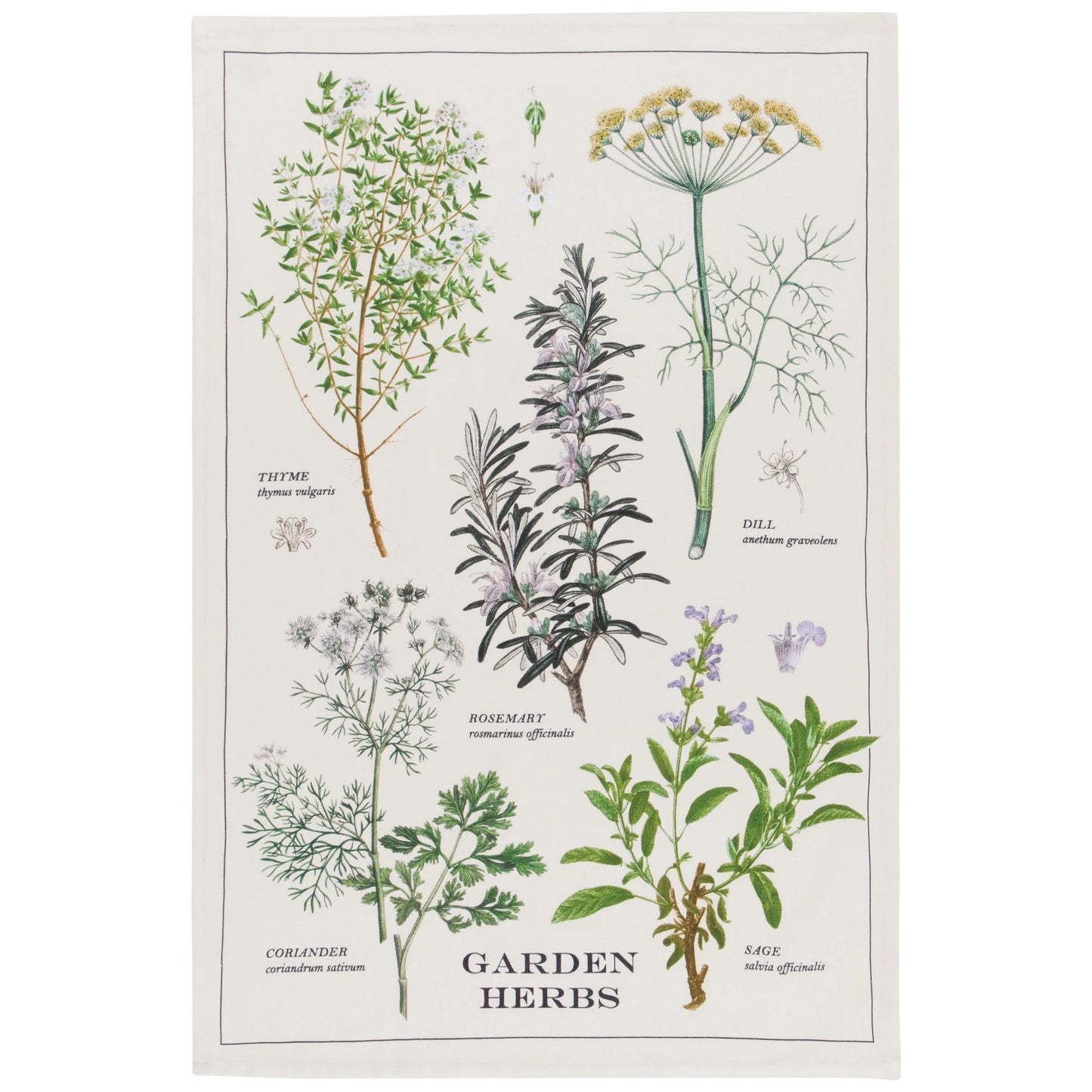 GARDEN HERBS DISHTOWEL 18x28