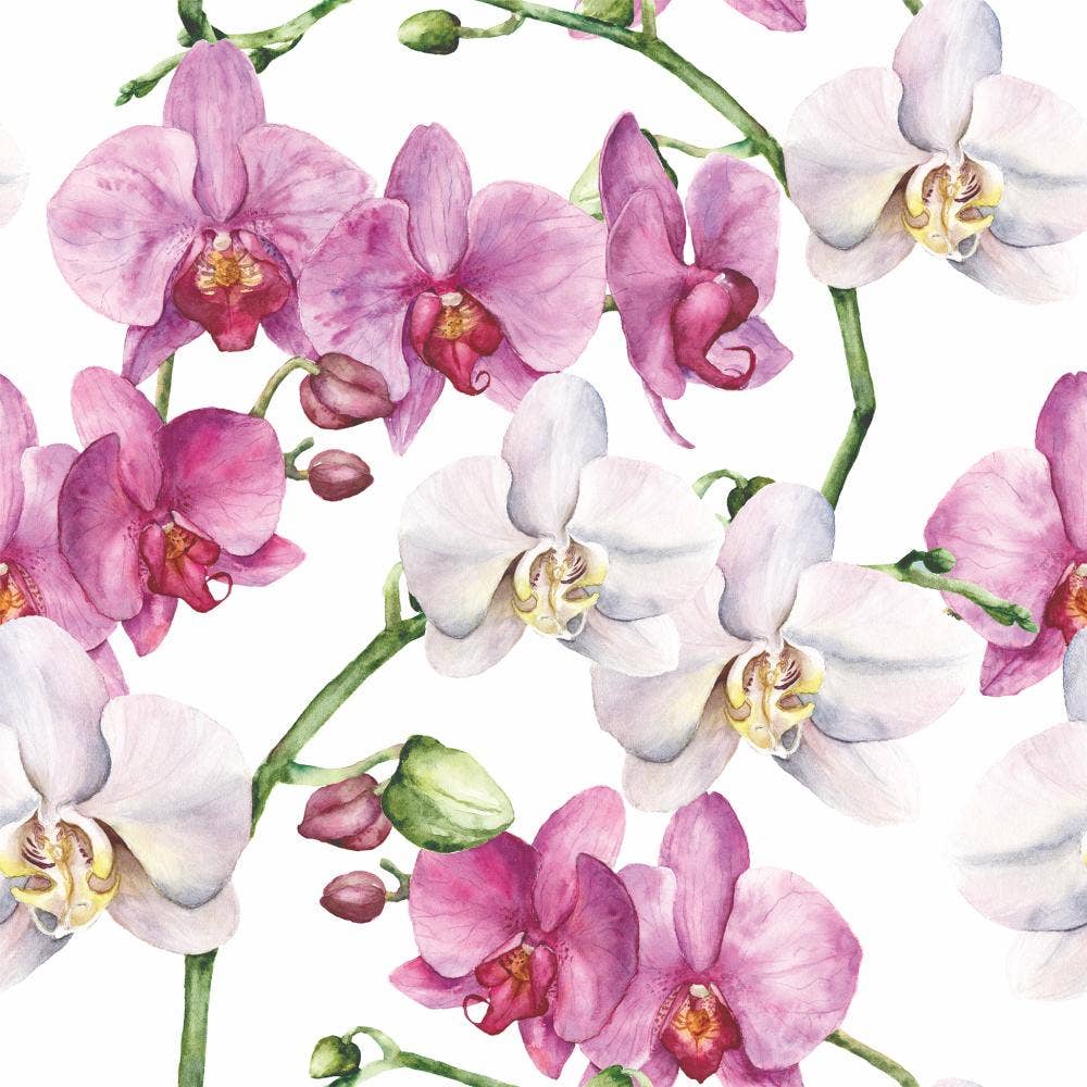 BEV-ELEGANT ORCHIDS, WHITE BY AMBIENTE