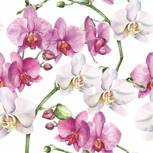 BEV-ELEGANT ORCHIDS, WHITE BY AMBIENTE