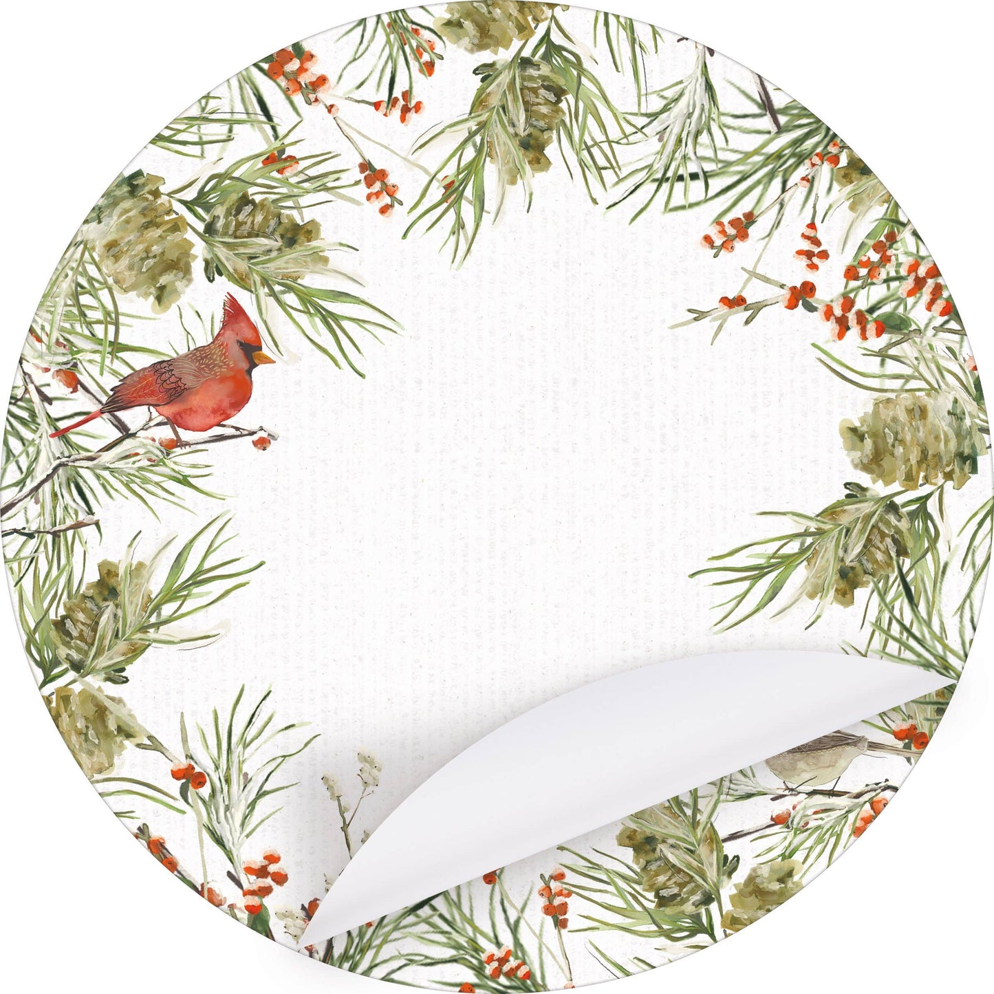 Winter Birds Placemat