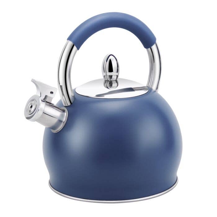 STAINLESS STEEL BLUE WHISTLING KETTLE WITH SILICONE HANDLE