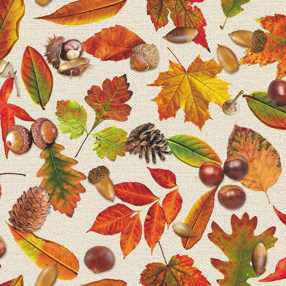 AUTUMN FESTIVAL BY AMBIENTE