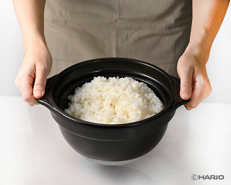 GohanGama Ceramic Rice Cooker: Large