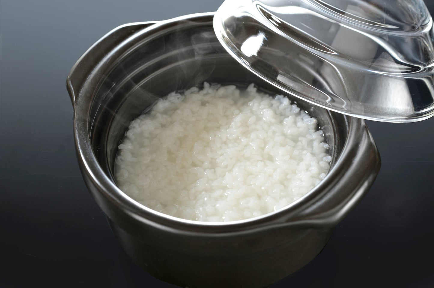 GohanGama Ceramic Rice Cooker: Large