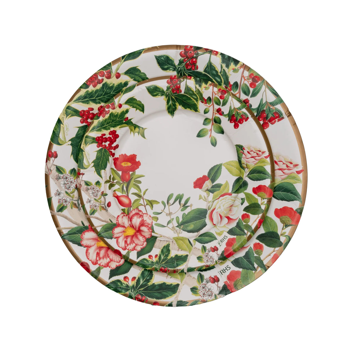 CHRISTMAS CHINOISERIE DINNER PAPER PLATES