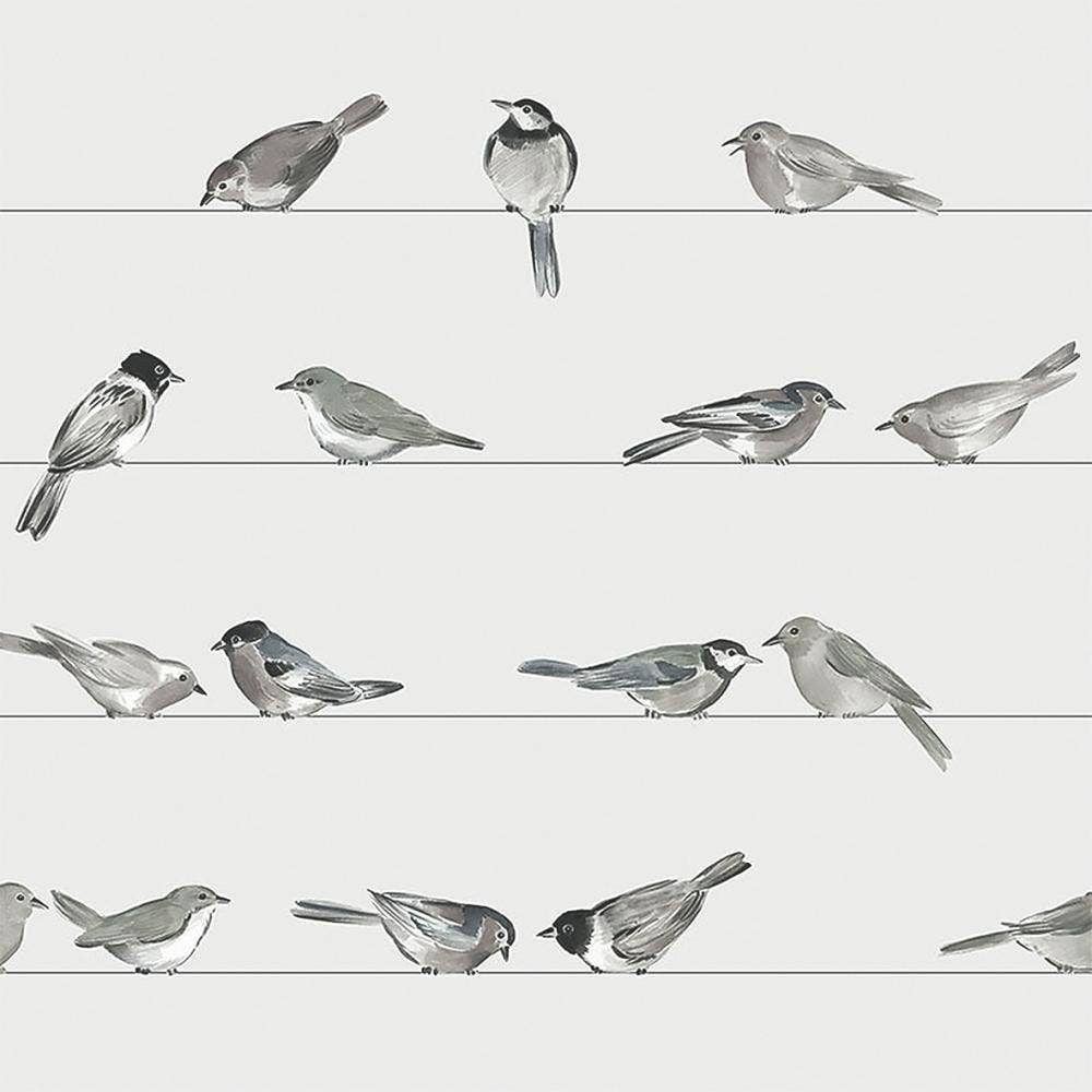 BIRDS