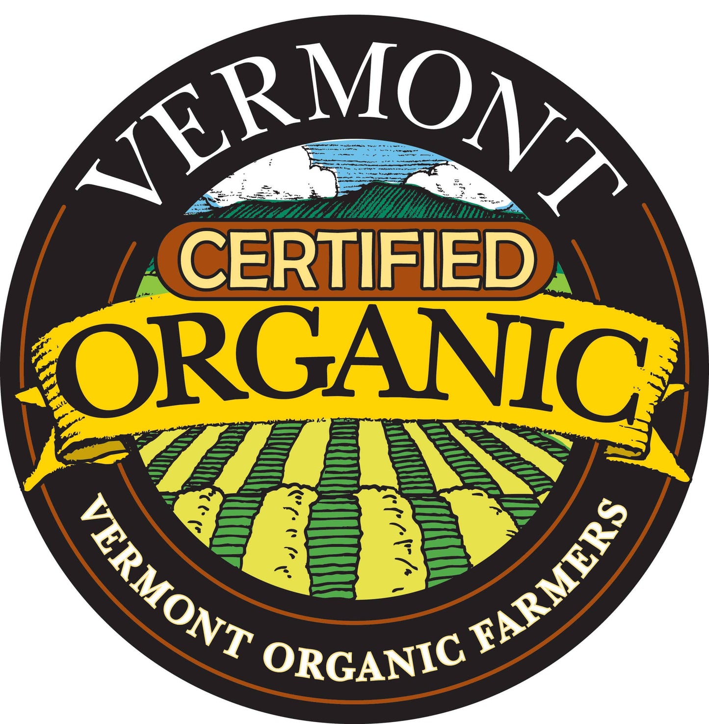 PURE ORGANIC VERMONT MAPLE SUGAR - 5 oz SHAKER JAR