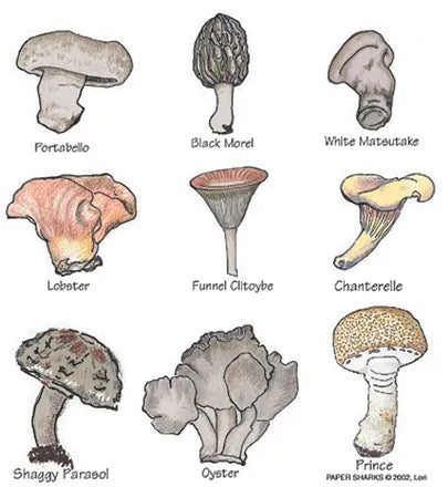 FLOUR SACK TOWEL MUSHROOMS