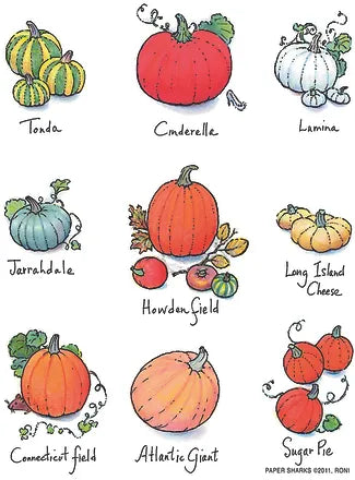 FLOUR SACK TOWEL PUMPKINS