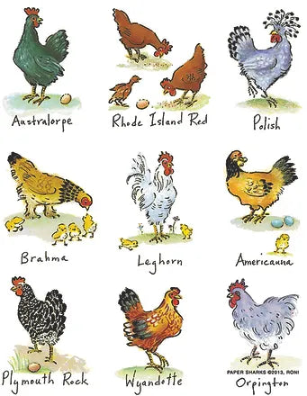 FLOUR SACK TOWEL MOTHER HENS