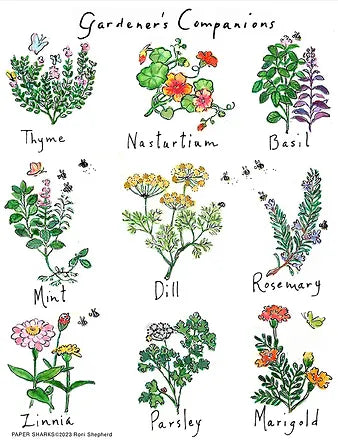 FLOUR SACK TOWEL GARDENER'S COMPANIONS