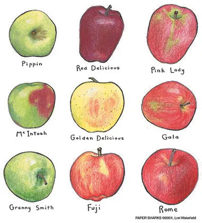 FLOUR SACK TOWEL APPLES