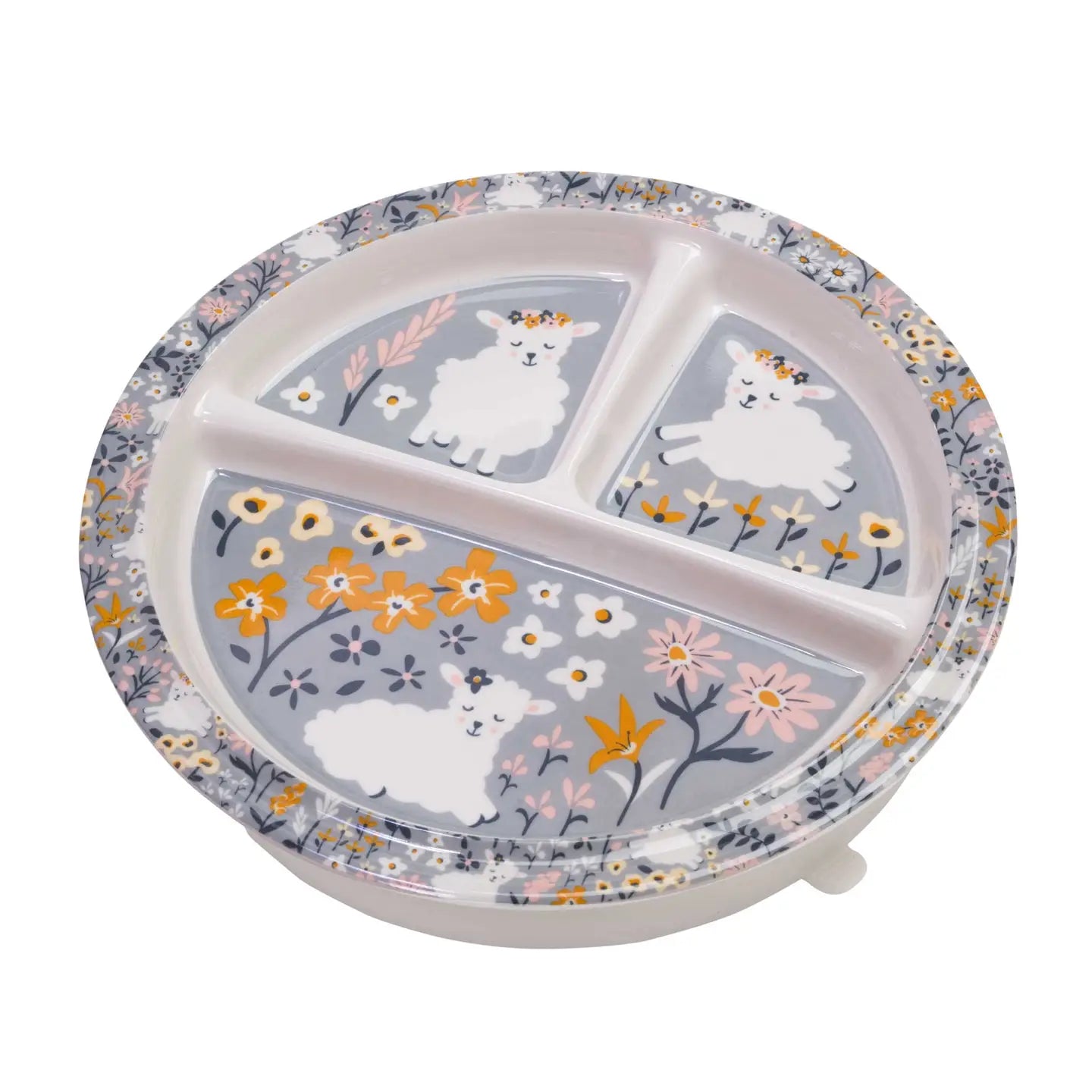 DIVIDED SUCTION PLATE LILY LAMB