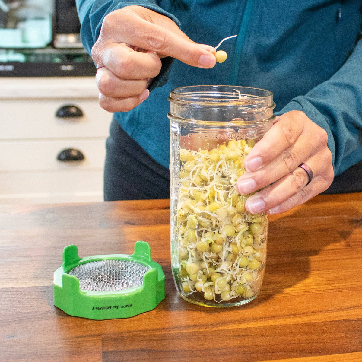RUST PROOF SPROUTING LID WITH MASON JAR