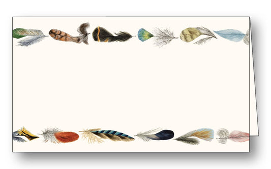 PLACE CARDS FEATHERS