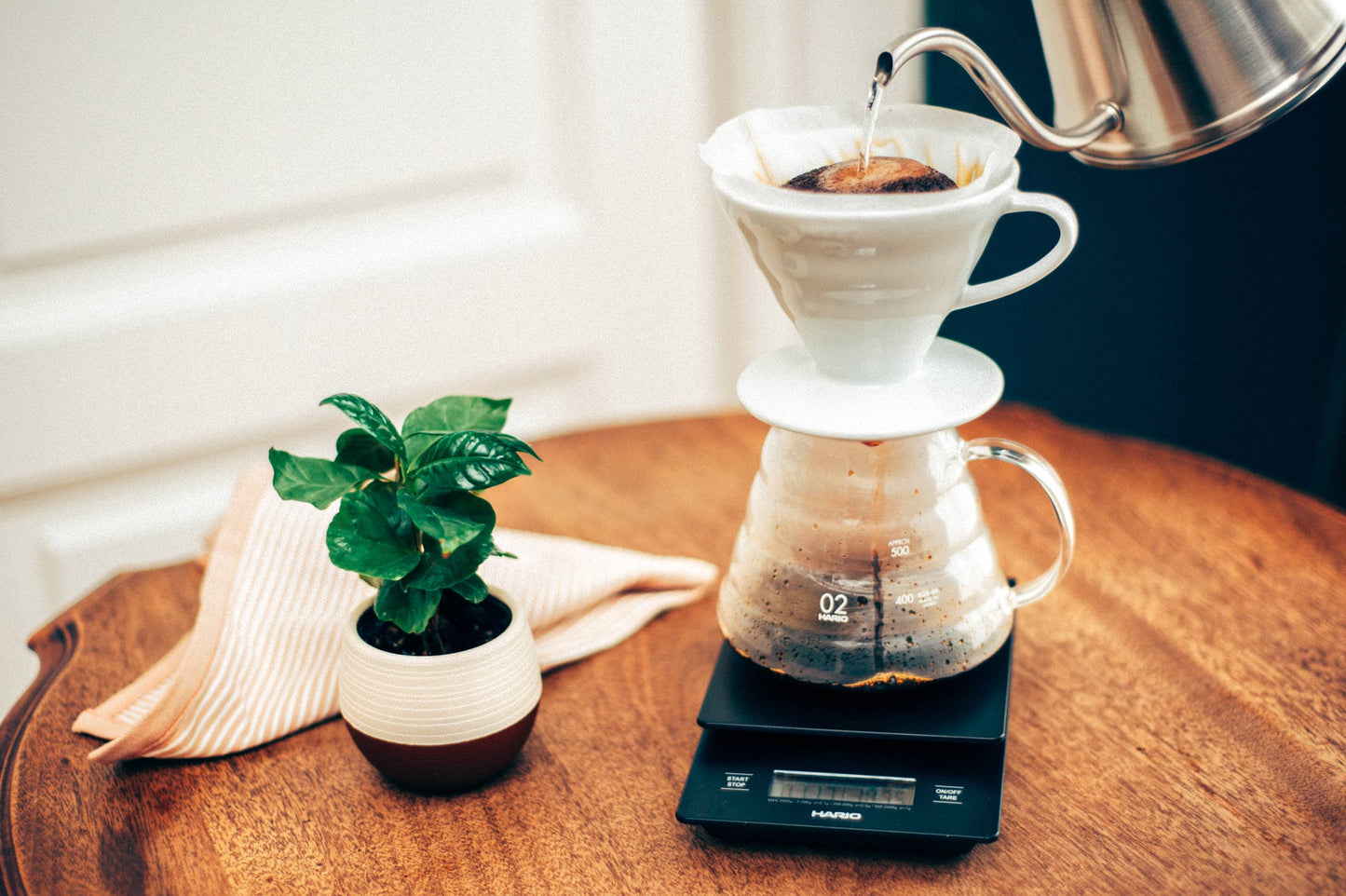 HARIO V60 Ceramic Coffee Dripper 02: White