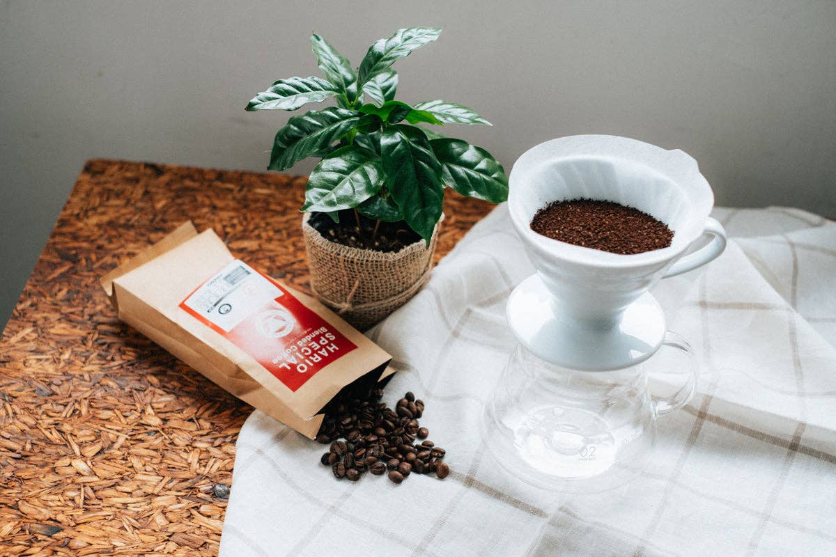 HARIO V60 Ceramic Coffee Dripper 02: White