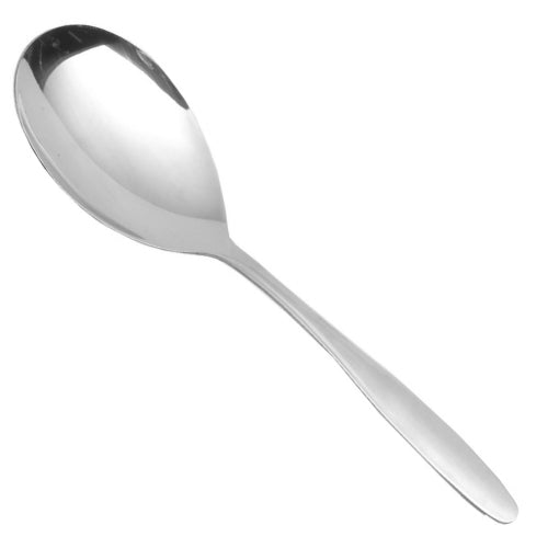 STAINLESS STEEL SPOON LARGE 8.75"