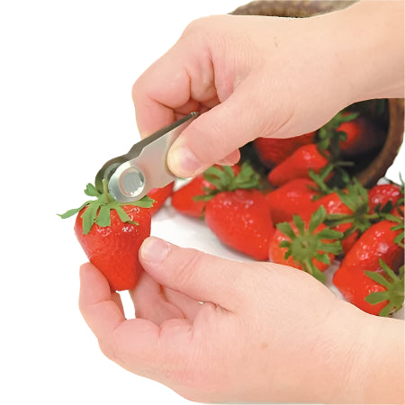 SS STRAWBERRY HULLER