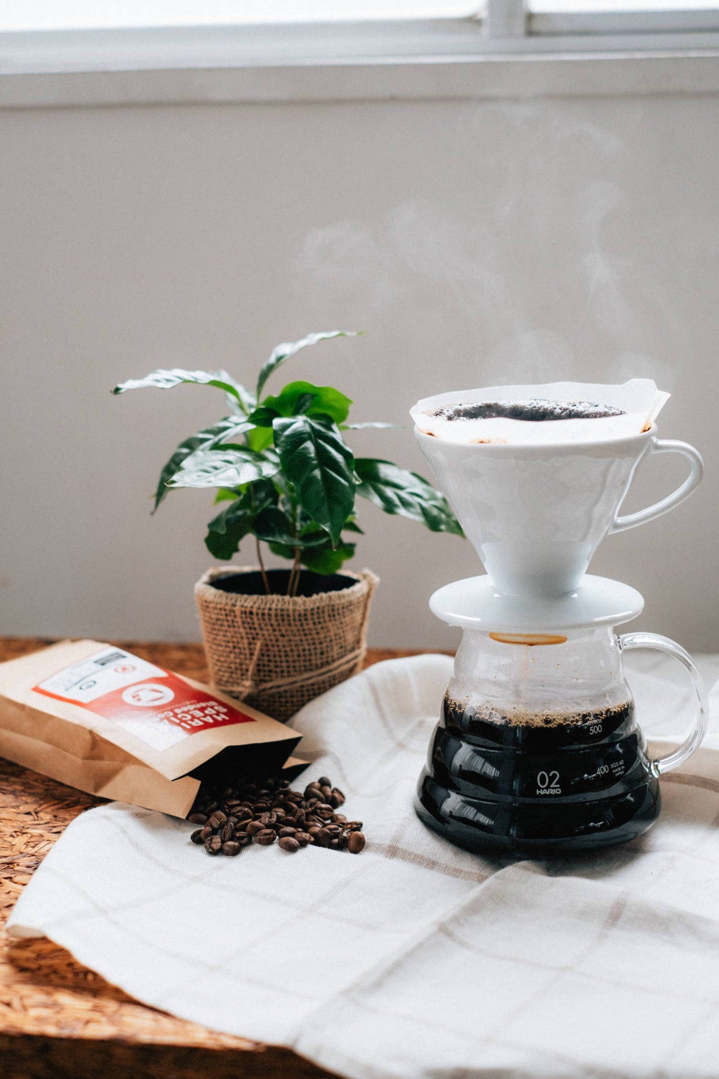 HARIO V60 Ceramic Coffee Dripper 02: White
