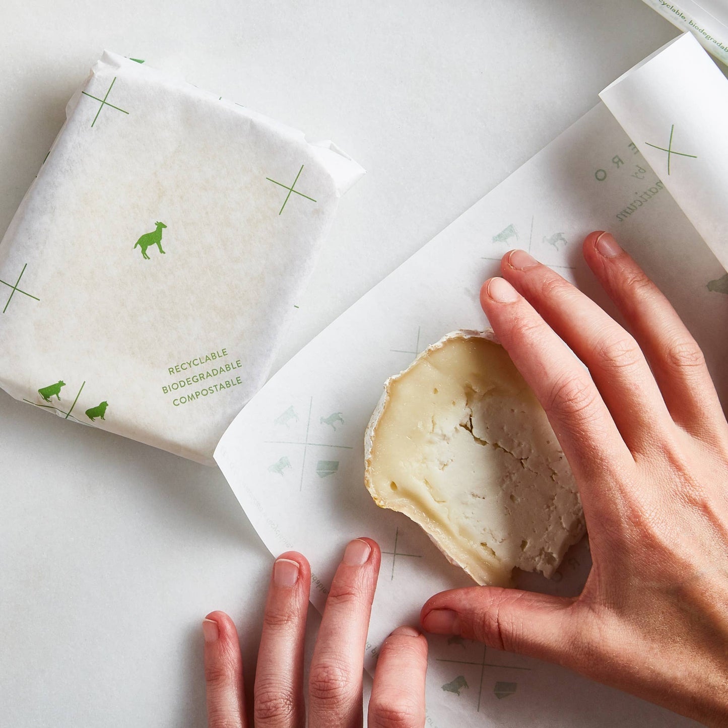 FORMATICUM ZERO CHEESE STORAGE PAPER