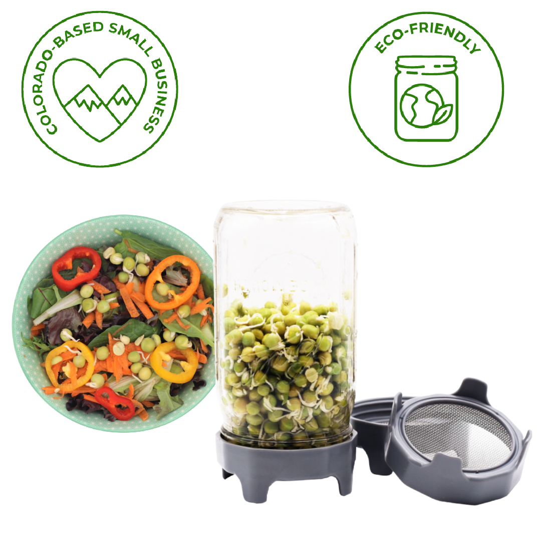 RUST PROOF SPROUTING LID WITH BUILT-IN STAND FOR WIDE MOUTH: CHARCOAL GRAY WITH JAR