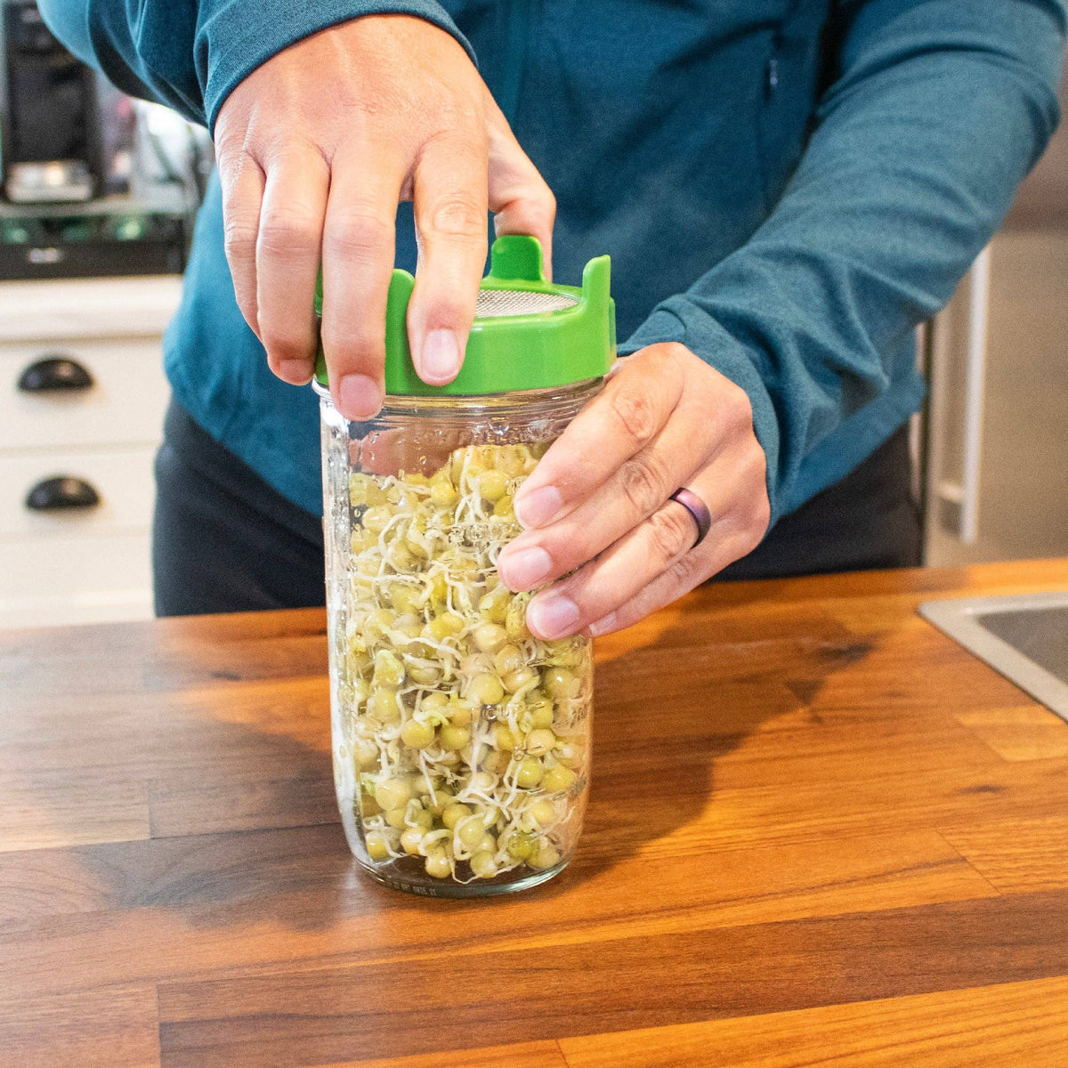 RUST PROOF SPROUTING LID WITH MASON JAR