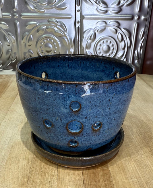 RISING FOREST BERRY KEEPER-BLUE
