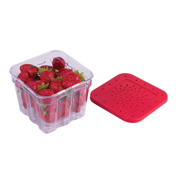 BERRY FRESH BOX RED – Vermont Kitchen Supply