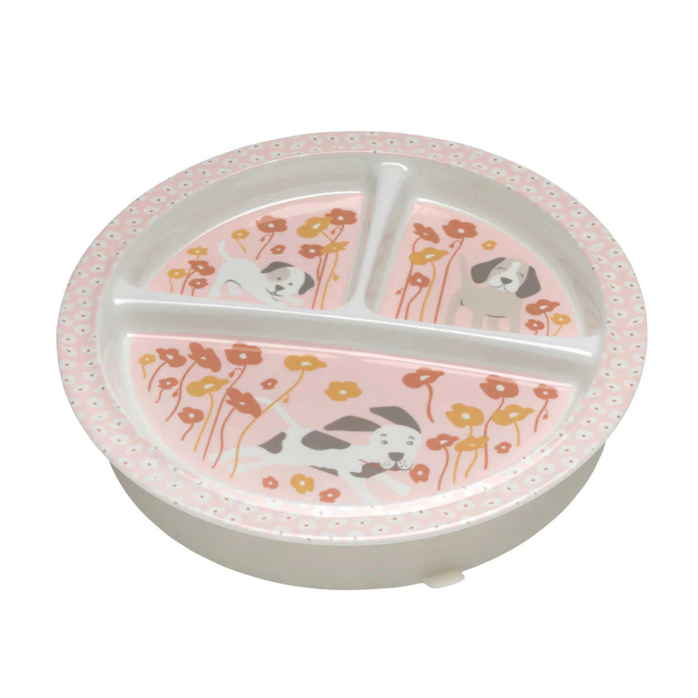DIVIDED SUCTION PLATE PUPPIES