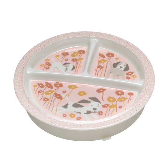 DIVIDED SUCTION PLATE PUPPIES