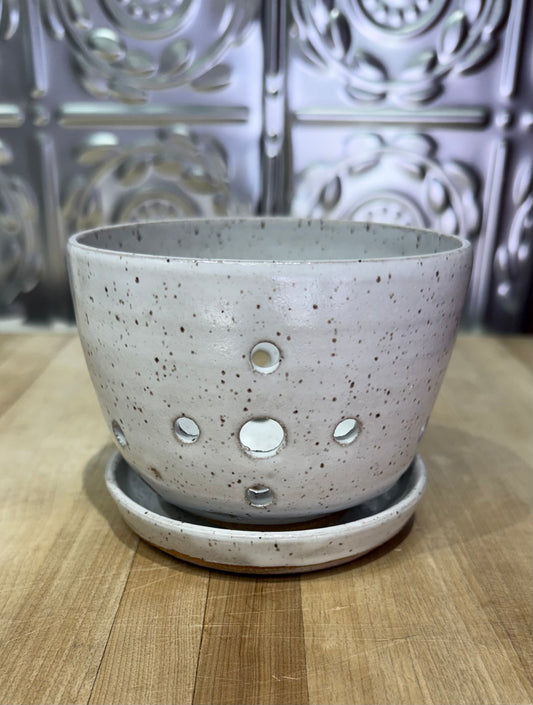 RISING FOREST BERRY KEEPER-WHITE