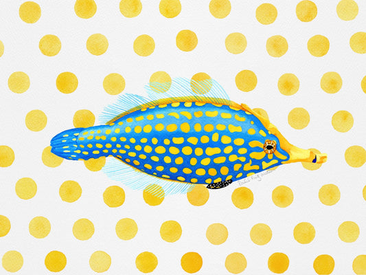 HARLEQUIN FILEFISH TEA TOWEL