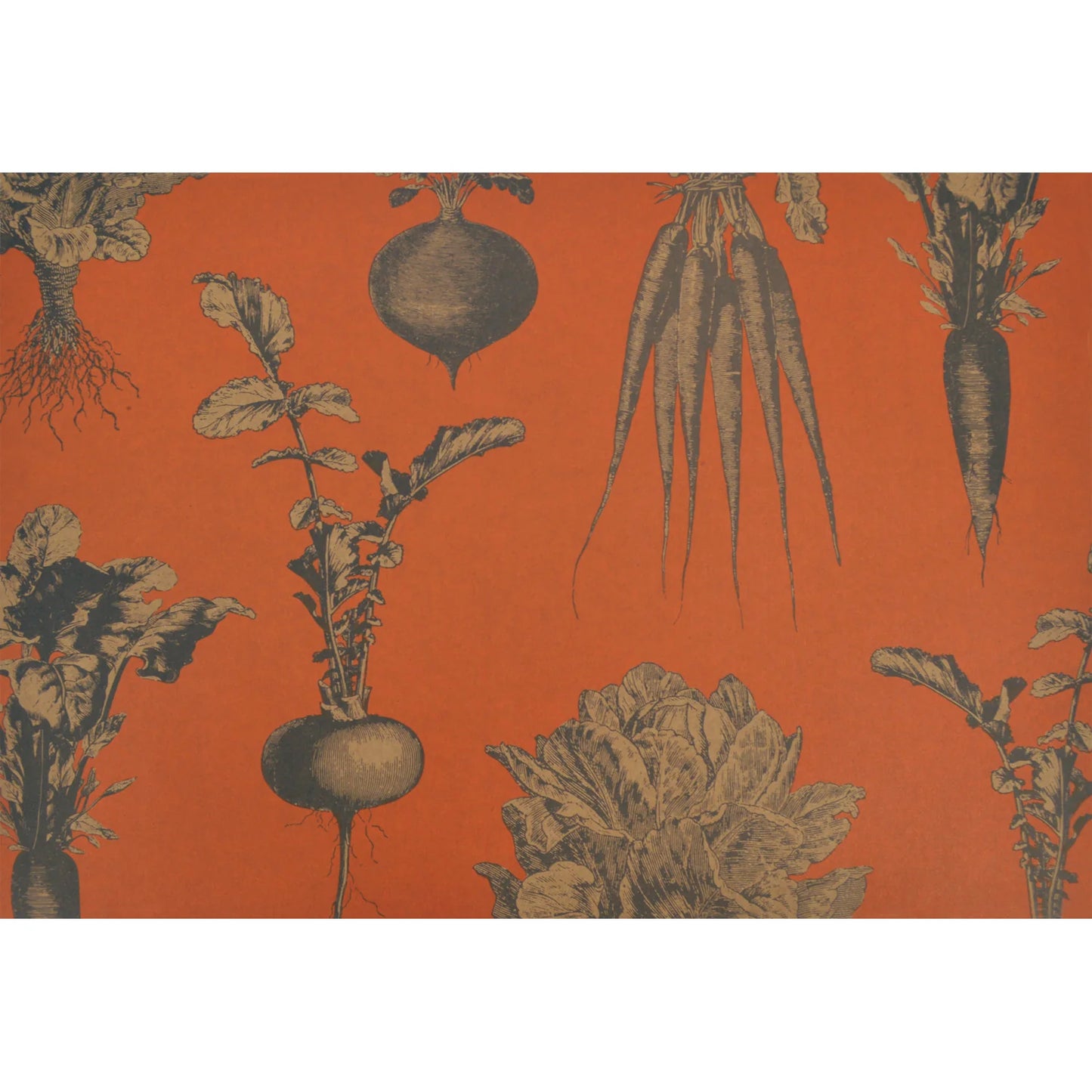 PAPER PLACEMATS HARVEST VEG PERSIMMONS