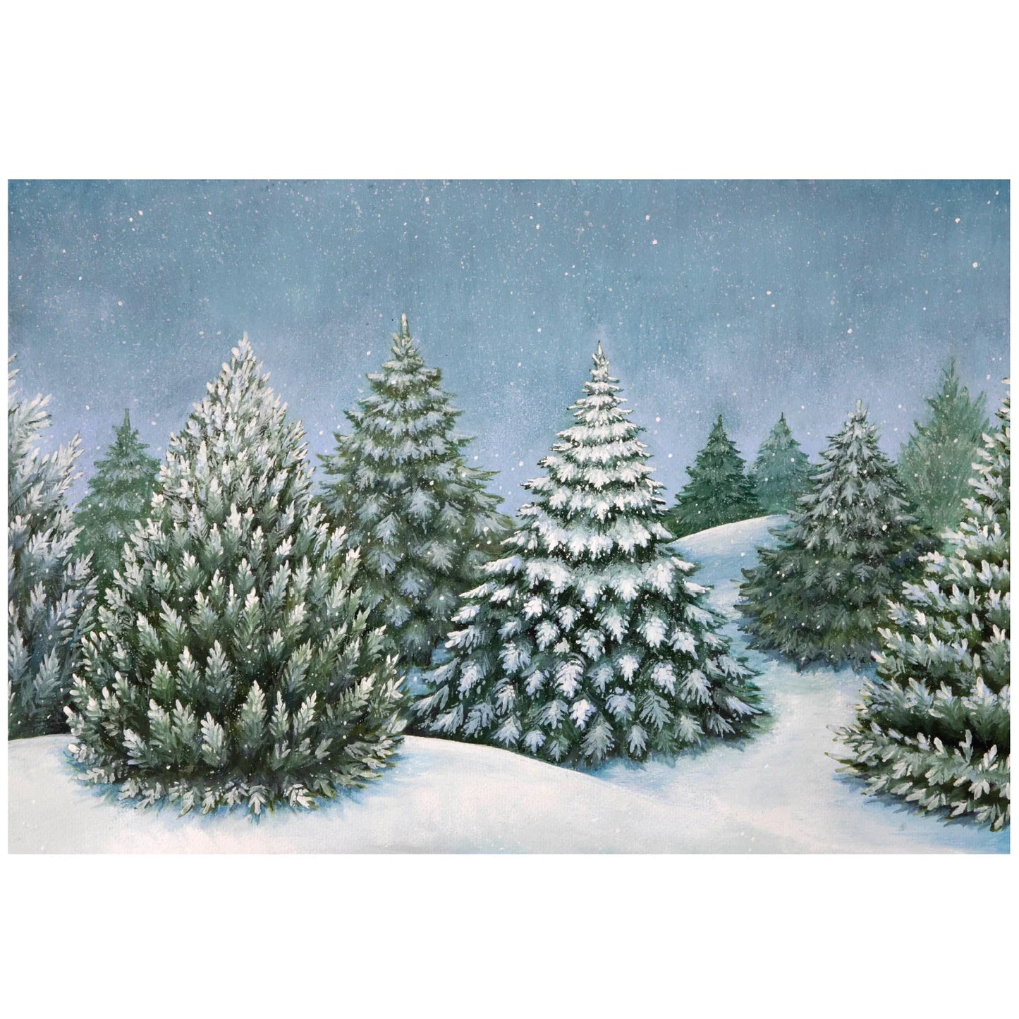 PAPER PLACEMATS EVERGREEN FOREST 24PK