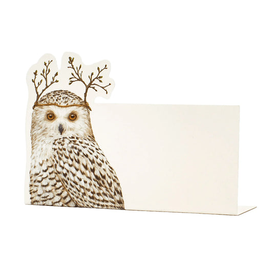 PLACE CARDS WINTER OWL 12CT