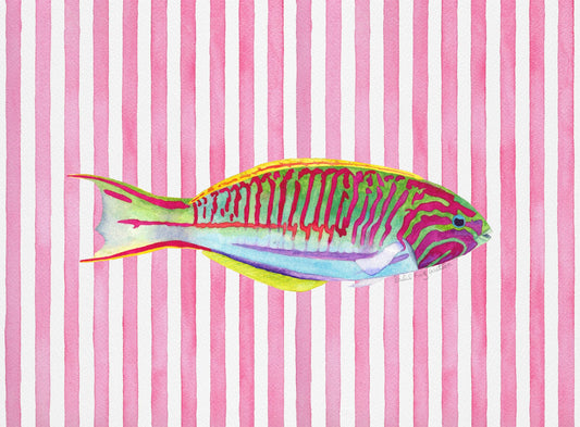 KLUNZINGEERS WRASSE TEA TOWEL