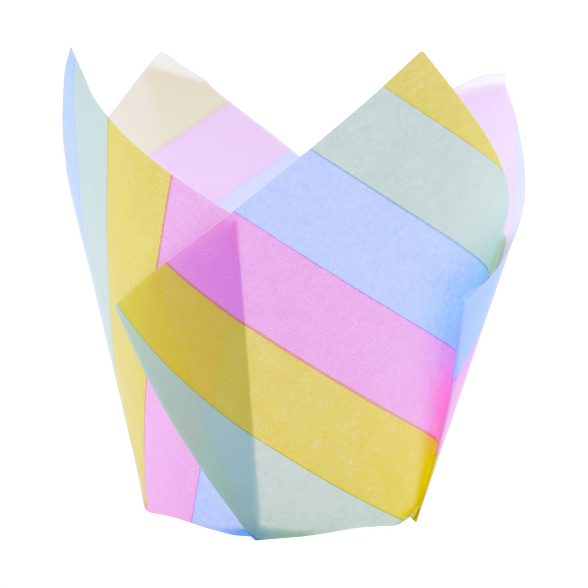 TULIP MUFFIN CASES - RAINBOW STRIPES 24/CT